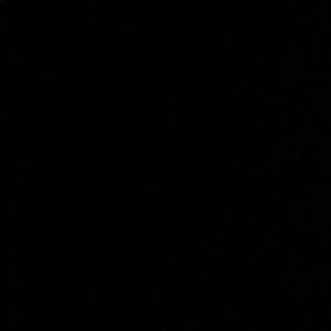 Meet your Posher, Natalia